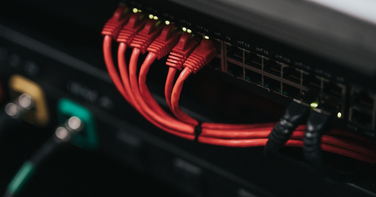 Cabos de rede em um servidor, representando infraestrutura de dados segura